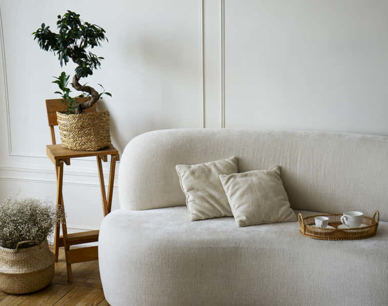 Cuál es el mejor sofá para ver TV? Mejores sofás para mirar TV - Maxsofá